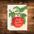 Teacher appreciation greeting card featuring a bright red apple hanging from a leafy branch with white blossoms and the words "Best Teacher Ever!" in white script.