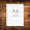 Birthday greeting card featuring two ducks diving underwater with the phrase "Bottoms Up, It's Your Birthday!"