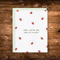 Funny Mother's Day greeting card featuring scattered ladybugs and the message "Mom, You're One Hell of a Lady!" on a white background.