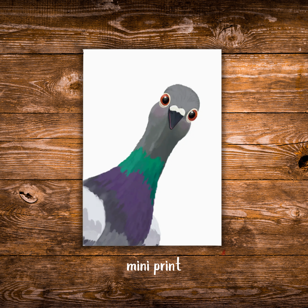 Mini art print featuring a curious pigeon peeking into the frame on a clean white background.