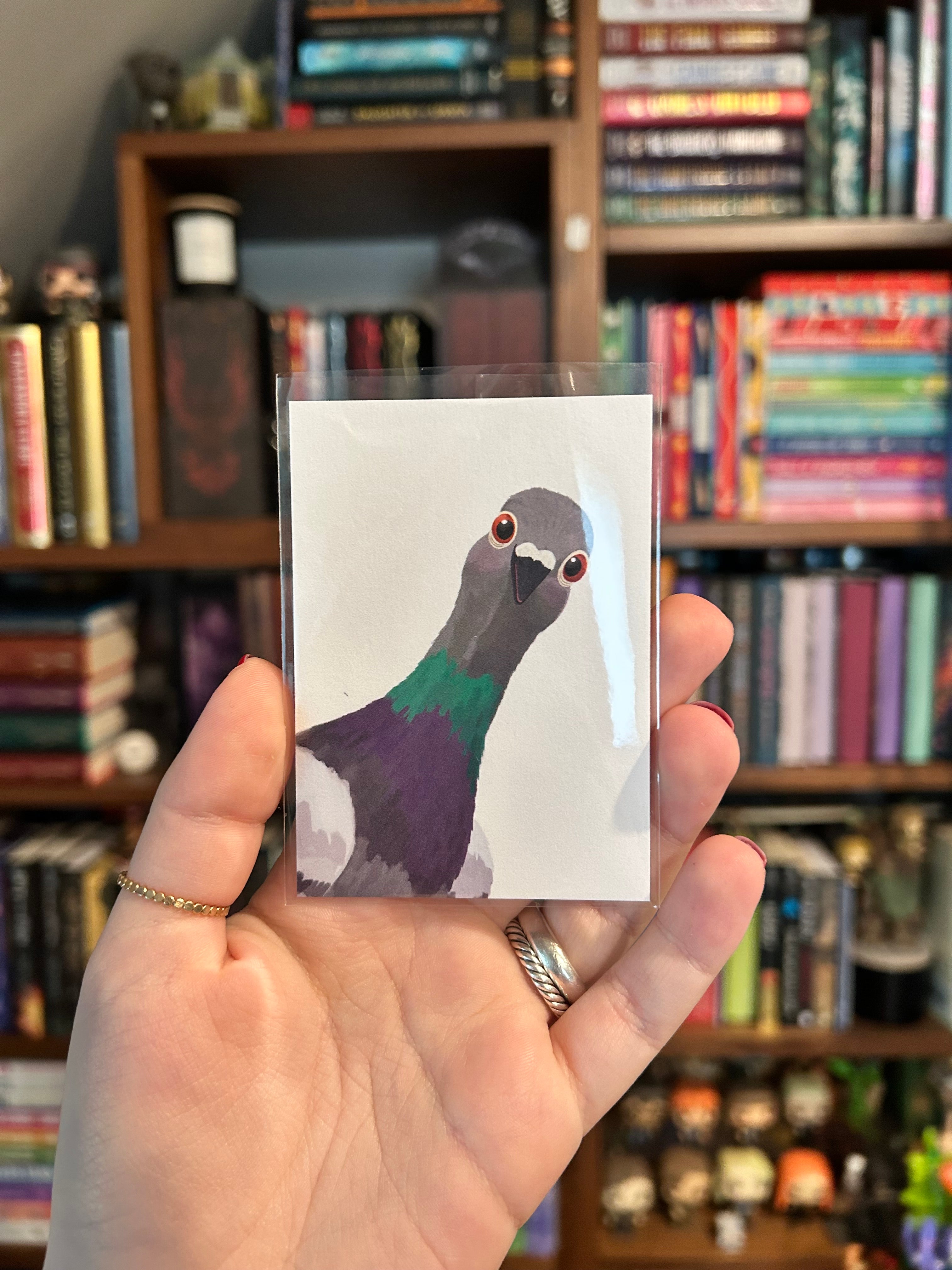 Mini art print featuring a curious pigeon peeking into the frame on a clean white background.