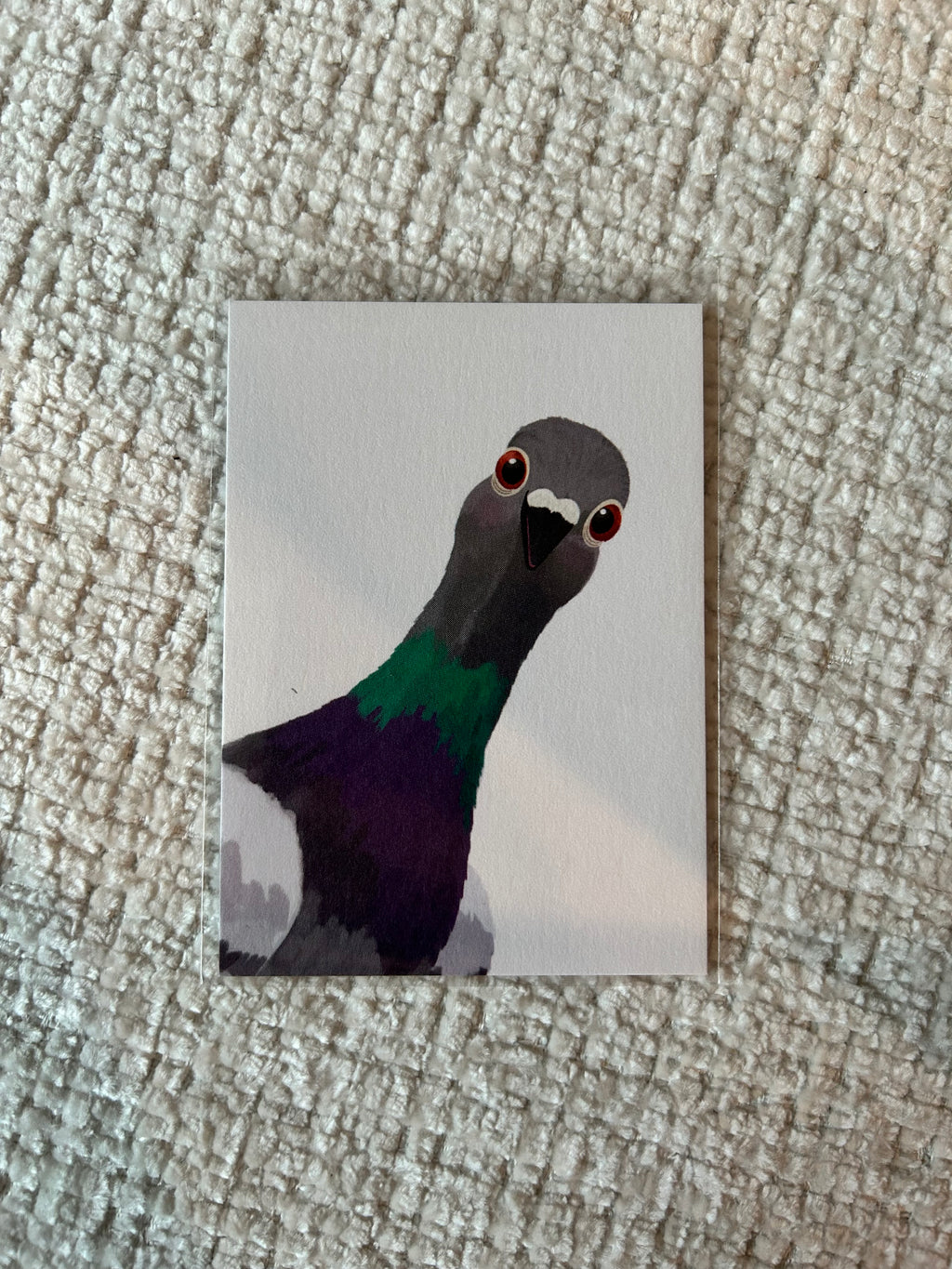 Mini art print featuring a curious pigeon peeking into the frame on a clean white background.