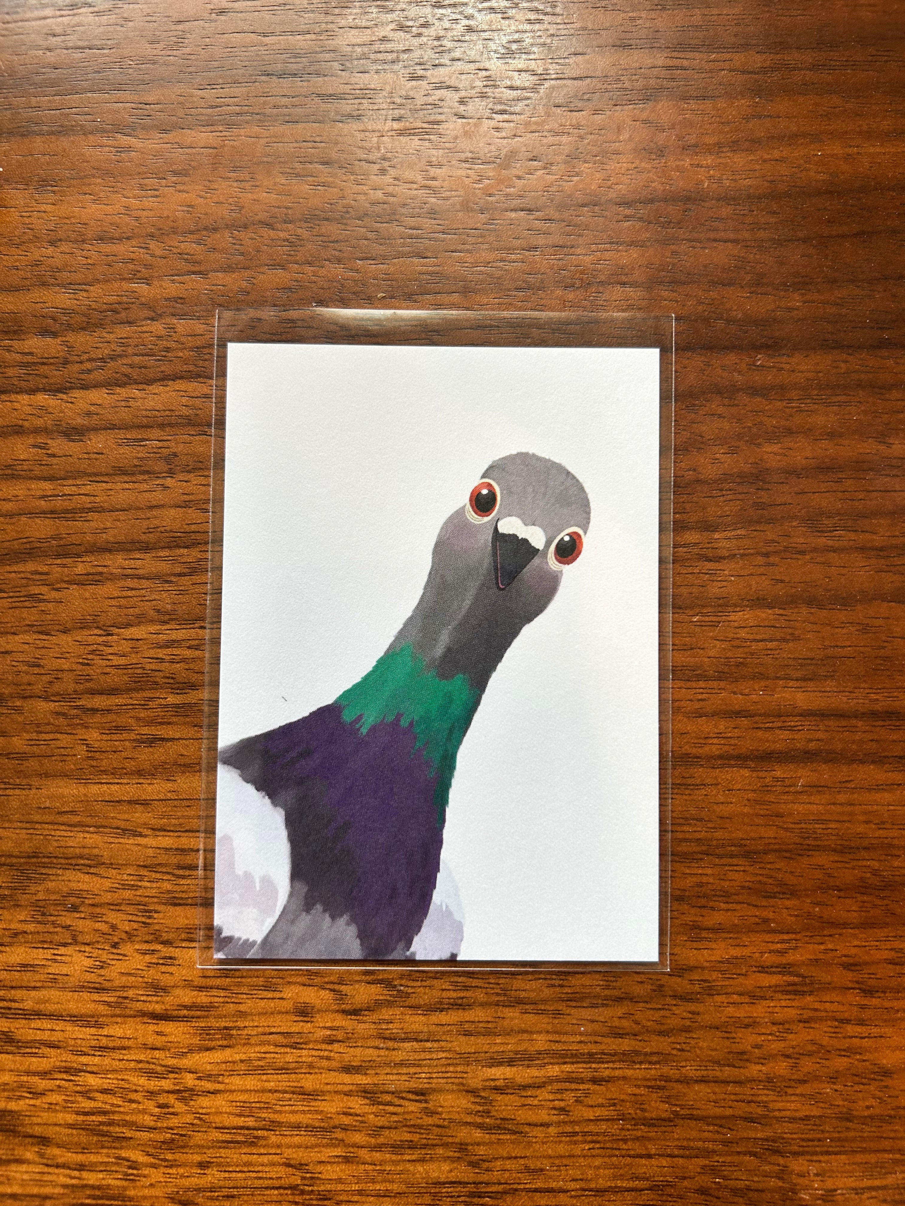 Mini art print featuring a curious pigeon peeking into the frame on a clean white background.