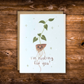 Cute encouragement greeting card featuring a smiling houseplant with exposed roots and the message "I'm Rooting for You!" on a soft blue background. 